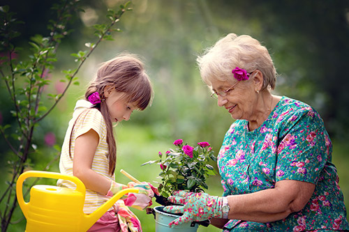Spring Activity Recommendations for you and Your Senior Loved One - Gainesville, GA