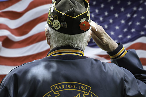 Preparing Your Senior Loved One for Memorial Day - Gainesville, GA